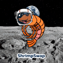 Shrimpswap GIF - Shrimpswap GIFs