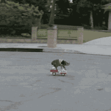 Cat Toy Truck GIF - Cat Toy Truck Ride GIFs
