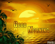 Good Morning Sun GIF - Good Morning Sun Bird GIFs