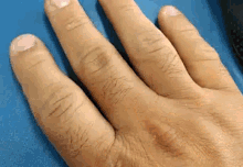 Coto Middle Finger GIF - Coto Middle Finger GIFs