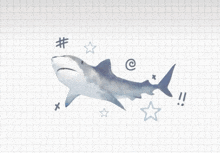 a shark is surrounded by stars and hashtags
