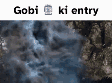 Entry Gobikientry GIF