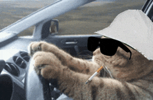 Fear And Loathing Cat GIF