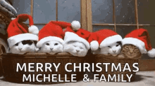 Holidays Happy Holidays GIF - Holidays Happy Holidays Cats GIFs