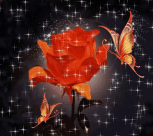 Butterfly Rose GIF - Butterfly Rose Flower GIFs