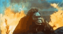 Godzilla King Kong Vs Godzilla GIF