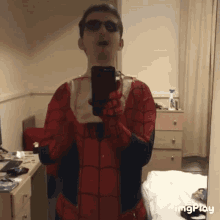 Frank Spiderman GIF - Frank Spiderman Spas GIFs