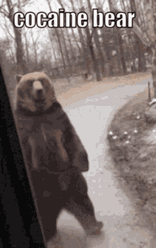 Cocaine Bear Cocaine GIF - Cocaine Bear Cocaine Bear GIFs