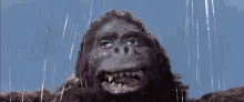 Godzilla King Kong GIF - Godzilla King Kong Kaiju GIFs