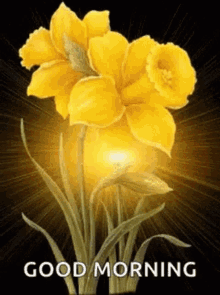Good Morning Flower GIF - Good Morning Flower Yellow Flowers GIFs