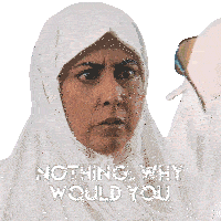 Nothing Why Would You Think I Did Something Zarqa Sticker - Nothing Why Would You Think I Did Something Zarqa What Makes You Think I Did Something Stickers