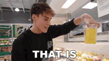 That Is So Satisfying Raphael Gomes GIF - That Is So Satisfying Raphael Gomes Its Very Pleasing GIFs