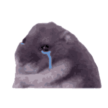 crying mouse