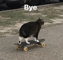 Cat Skateboard GIF - Cat Skateboard Bye GIFs