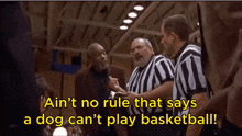 Air Bud Ain'T No Rule GIF - Air Bud Ain'T No Rule Basketball GIFs