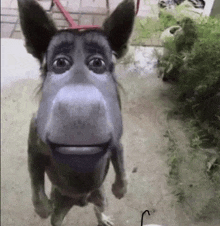a dog with a cartoon face is standing on a leash and smiling .