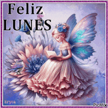 a picture of a fairy reading a book with the words feliz lunes on it