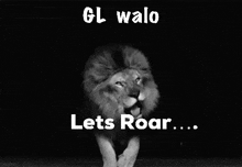 a black and white photo of a lion with a caption that says gl walo lets roar