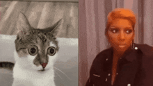 a cat with big eyes next to a woman with a red face
