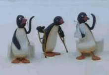 Pingu Penguin GIF