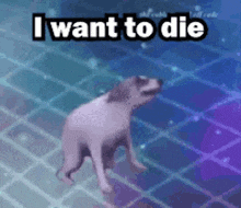 a dog is walking on a tiled floor with the words `` i want to die '' written on it .