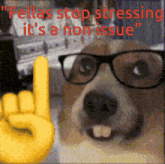a picture of a dog wearing glasses with the words " fellas stop stressing it 's a non issue " above it