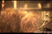 Dave Mustaine Megadeth GIF - Dave Mustaine Megadeth Headbang GIFs