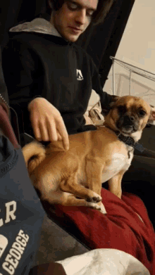 Dog What GIF - Dog What Annoyed GIFs