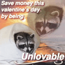 Raccoon Valentine'S Day GIF - Raccoon Valentine'S Day Happy Valentines Day GIFs