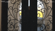 a wrought iron door with the words wildcards written on it