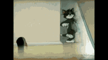Tom And Jerry College Math GIF - Tom And Jerry College Math Math Equations GIFs