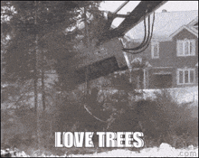 Love Trees Fuck Trees GIF