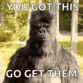 a gorilla is standing in the grass with trees in the background .