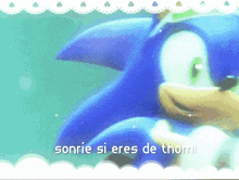 a cartoon of sonic the hedgehog with the words sonrie si eres de thorni below him
