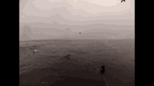 birds flying over a body of water with a rope in the foreground