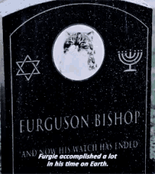 Furguson Bishop Winston Bishop GIF - Furguson Bishop Winston Bishop New Girl GIFs