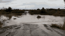 Inundacion Salir De Casa Inundacion GIF - Inundacion Salir De Casa Inundacion Flood GIFs