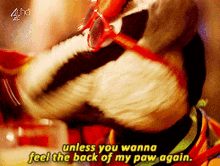 Bodger And Badger Andy Cunningham GIF
