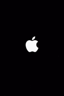 apple logo static glitch