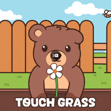 a cartoon of a bear holding a flower with the words touch grass underneath it