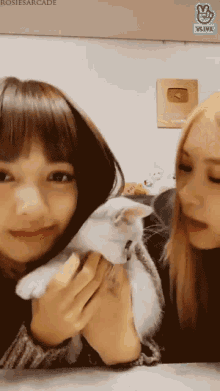 Kiss Kissing A Cat GIF - Kiss Kissing A Cat Couples With Cat GIFs