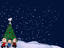 Charliebrownchristmas Christmascarol GIF