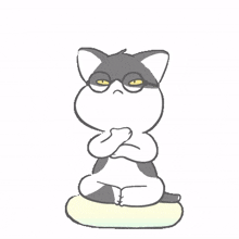 cat gray glasses thinking resting