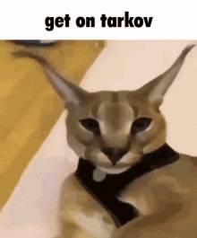 Escape From Tarkov Tarkov GIF - Escape From Tarkov Tarkov Get On Tarkov GIFs