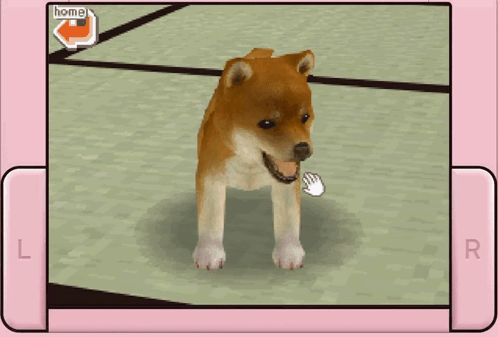 Shiba fashion inu nintendogs