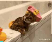 Kitty Bathtime GIF - Kitty Bathtime Tub GIFs