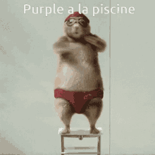 Purple Rat GIF
