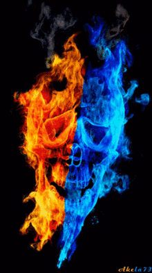 Skull Flames Flame GIF
