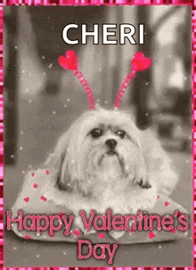 Happy Valentines Day Dog GIF - Happy Valentines Day Dog Doggo GIFs