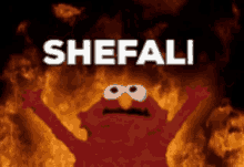 Shefali GIF - Shefali GIFs